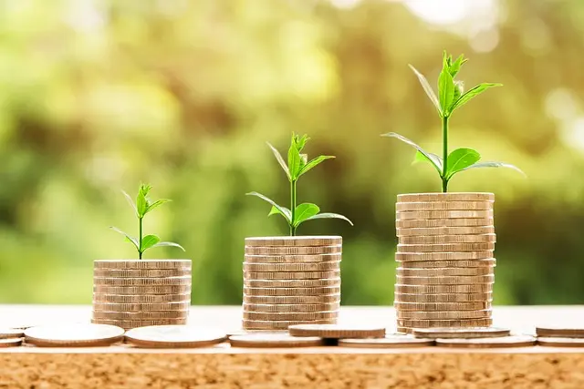 Ultimate Guide to the Most Effective Wealth Growth Apps